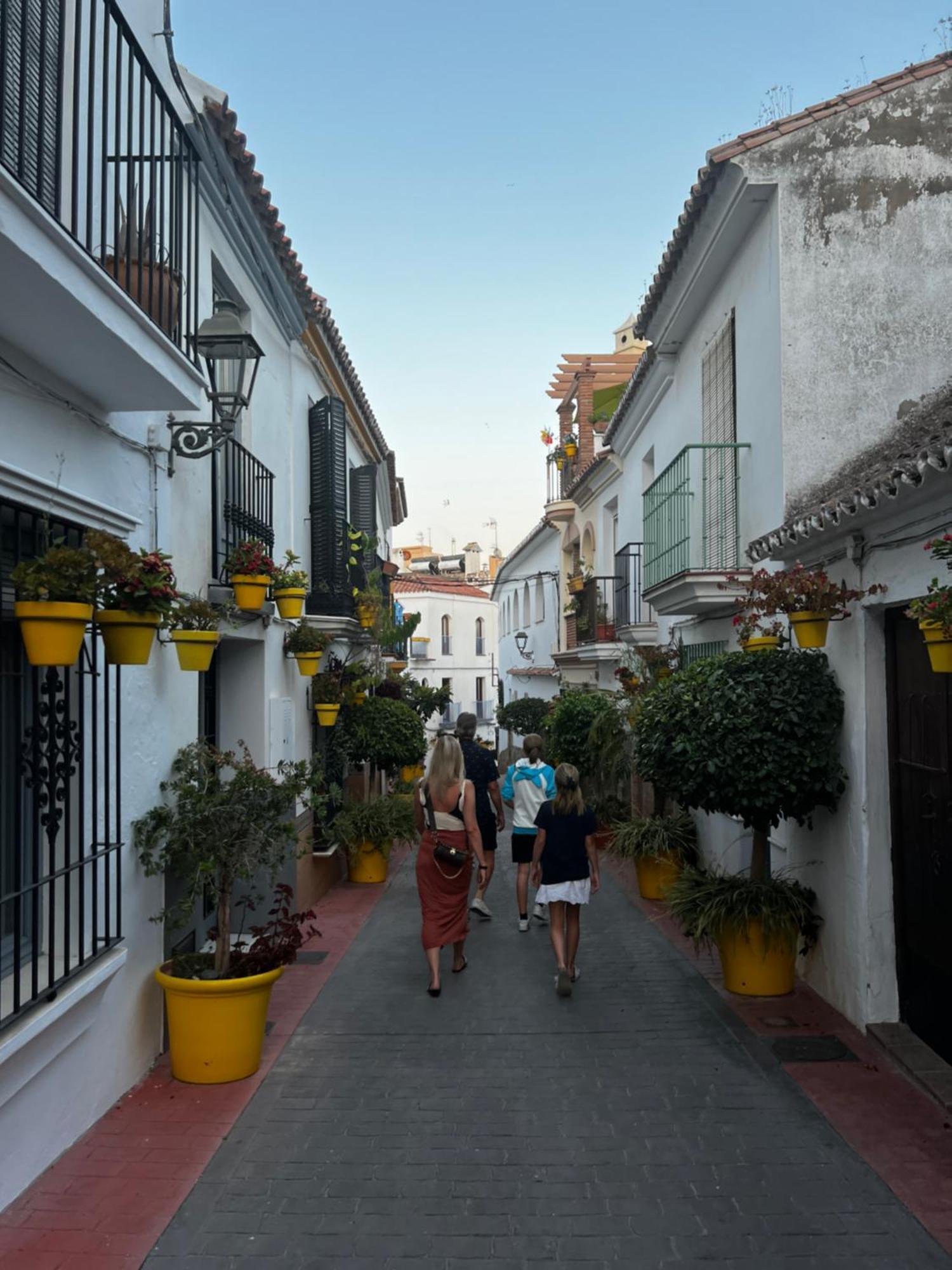 Playa Cristo Amazing Beach Terrace Appartment Estepona Exterior foto